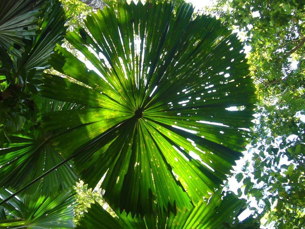Port Douglas Retreat Kültér fotó