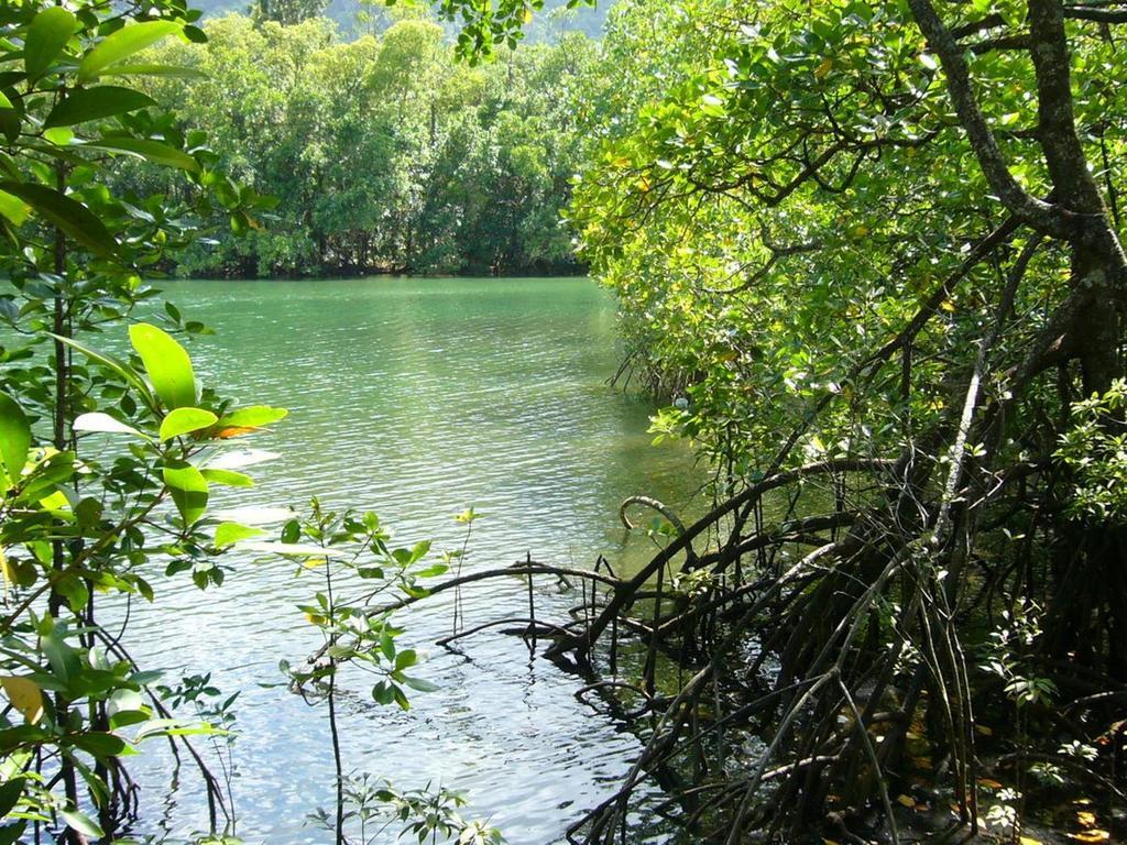 Port Douglas Retreat Kültér fotó